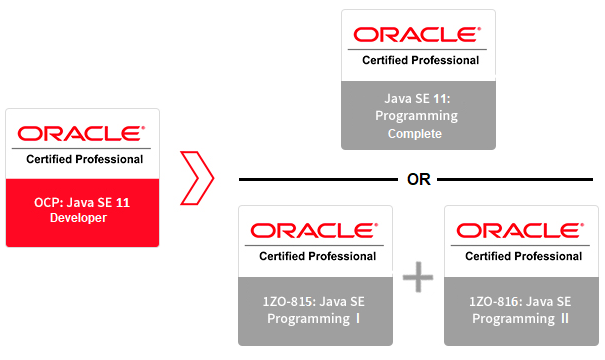 Oracle Training Partner