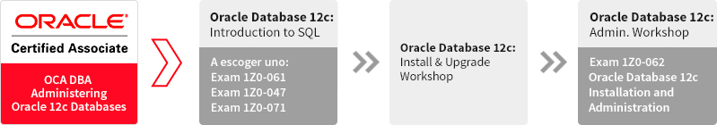 Oracle Training Partner