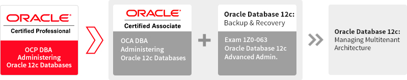Oracle Training Partner