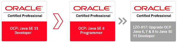 Oracle Training Partner