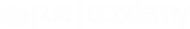 PUE Academy Logo